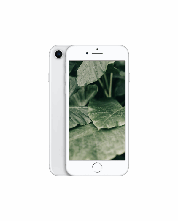 iPhone 8