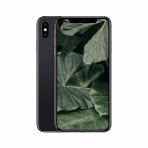 iPhone X