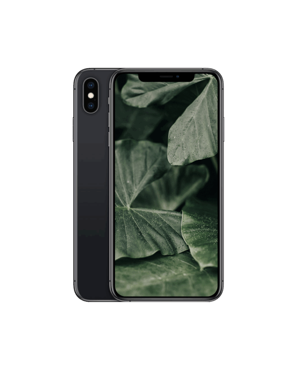 iPhone X